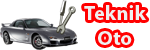 teknikotologo